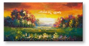 Maľovaný obraz na stenu LÚKA 100x50 cm - 100×50 cm / Klasický 2 cm