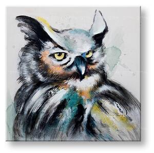Maľovaný obraz na stenu SOVA 60x60 cm