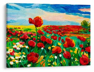 Obraz poľa s vlčími makmi (70x50 cm)