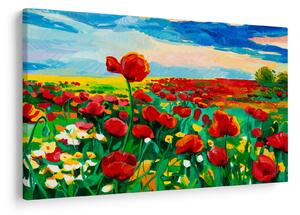 Obraz poľa s vlčími makmi (90x60 cm)