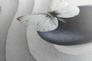 Obraz Zen kameň s motýľom