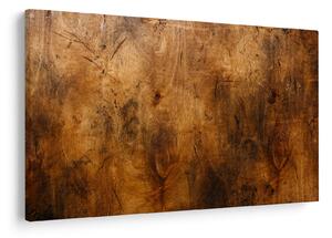 Obraz - Detail dreva (90x60 cm)