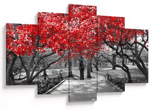 Obraz - Červené stromy, Central Park, New York (150x105 cm)