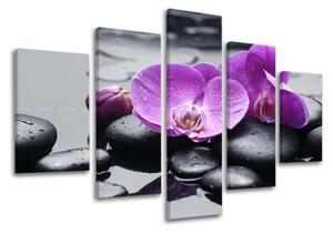 Obraz na stenu 5 dielny FENG SHUI FS011E50