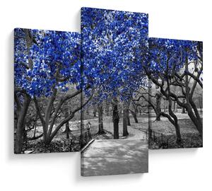 Obrázok - Modré stromy, Central Park, New York (90x60 cm)