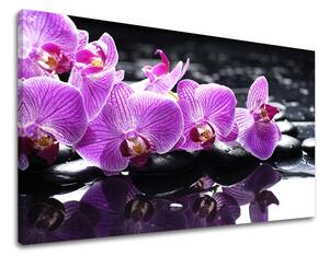 Obraz na stenu FENG SHUI FS024E11