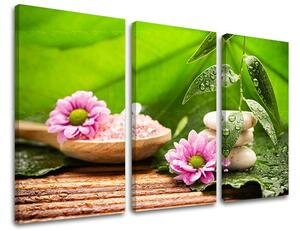 Obraz na stenu 3 dielny FENG SHUI FS021E30