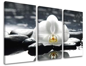 Obraz na stenu 3 dielny FENG SHUI FS018E30