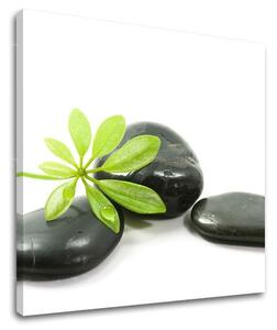 Obraz na stenu FENG SHUI