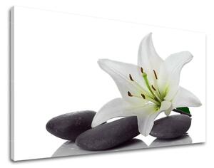 Obraz na stenu FENG SHUI FS029E11