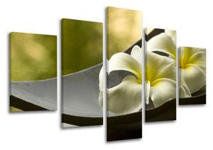 Obraz na stenu 5 dielny FENG SHUI FS031E50