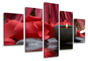 Obraz na stenu 5 dielny FENG SHUI FS040E50