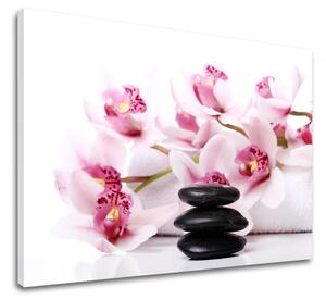 Obraz na plátne FENG SHUI_047-11