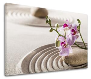 Obraz na plátne FENG SHUI_051-11