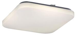 RABALUX 2287 Rob stropné svietidlo LED 32W 4000K biela