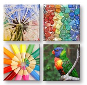 Obraz na stenu Colorful vibes 4 dielny XOBKOL20E42