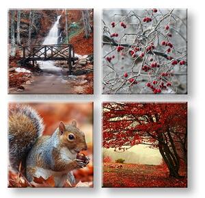 Obraz na stenu Beauty of Autumn 4 dielny XOBKOL11E42