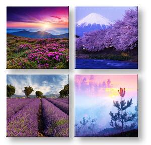 Obraz na stenu Everywhere purple 4 dielny XOBKOL21E42