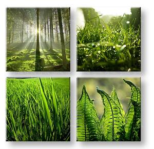 Obraz na stenu Sunrise of nature 4 dielny XOBKOL14E42
