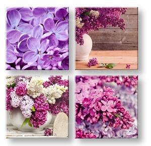 Obraz na stenu Lilacs 4 dielny XOBKOL05E42