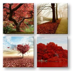 Obraz na stenu Colorful world 4 dielny XOBKOL26E42