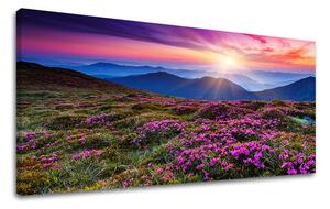 Obraz na stenu PANORÁMA KRAJINA KR006E13
