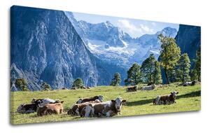 Obraz na stenu PANORÁMA KRAJINA KR005E13