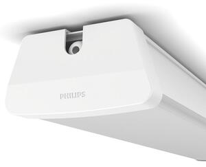 Philips 31247/31/P3 Aqualine LED stropné svietidlo 1,2m 50W=5000 lm 4000K IP65