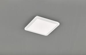 TRIO Reality R62931801 Camillus stropné svietidlo LED 1x18W 1650lm 3000K IP44