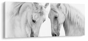 Obraz bielych koní (120x50 cm)