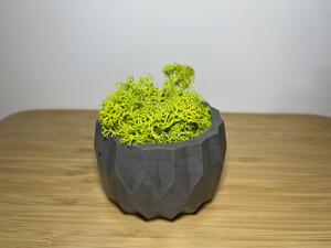 Kvetináč 8 cm - sivý