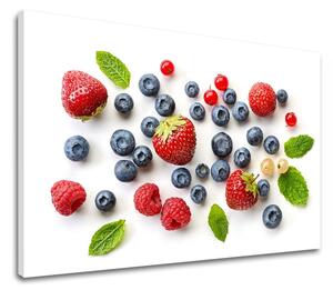 Obraz na stenu OVOCIE_094-11