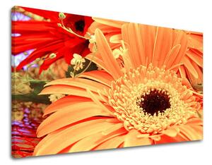 Obraz na stenu KVETY KV006E11 - 20x30 cm