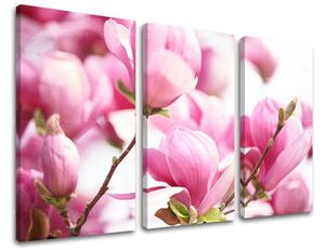 Obraz na stenu 3 dielny KVETY KV002E30 - 60x40 cm