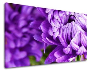 Obraz na stenu KVETY KV022E11 - 20x30 cm