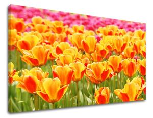 Obraz na stenu KVETY KV025E11 - 20x30 cm