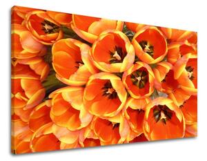 Obraz na stenu KVETY KV026E11 - 20x30 cm