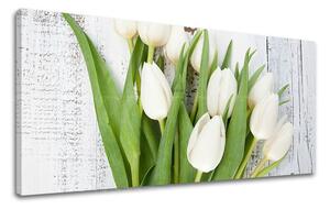 Obraz na stenu PANORÁMA KVETY KV036E13 - 30x60 cm