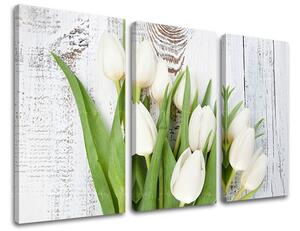 Obraz na stenu 3 dielny KVETY KV036E30 - 60x40 cm