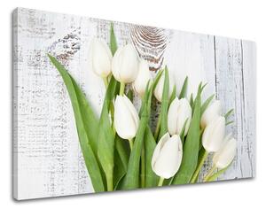 Obraz na stenu KVETY KV036E11 - 20x30 cm