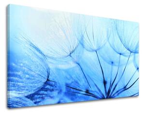 Obraz na stenu KVETY KV057E11 - 20x30 cm