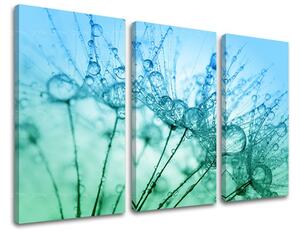Obraz na stenu 3 dielny KVETY KV061E30 - 60x40 cm