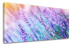 Obraz na stenu PANORÁMA KVETY KV064E13 - 30x60 cm