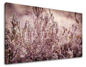 Obraz na stenu KVETY KV066E11 - 20x30 cm
