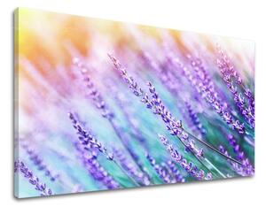 Obraz na stenu KVETY KV064E11 - 20x30 cm
