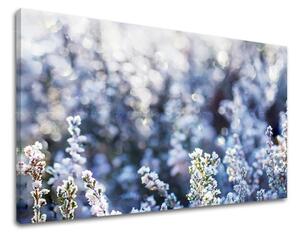 Obraz na stenu KVETY KV067E11 - 20x30 cm