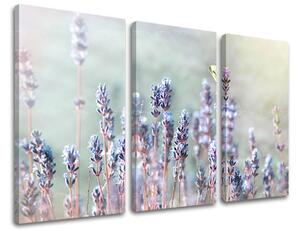 Obraz na stenu 3 dielny KVETY KV077E30 - 60x40 cm