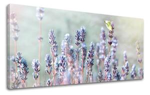 Obraz na stenu PANORÁMA KVETY KV077E13 - 30x60 cm