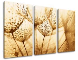 Obraz na stenu 3 dielny KVETY KV071E30 - 60x40 cm