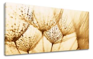 Obraz na stenu PANORÁMA KVETY KV071E13 - 30x60 cm
